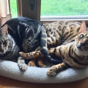 Meet your Posher, Nichole